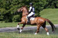 ED249984