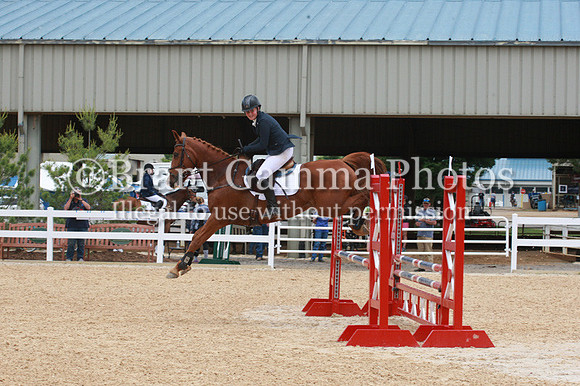 VS1L3876