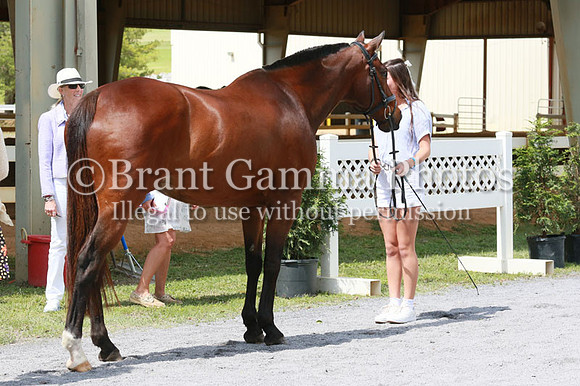 FINN0276