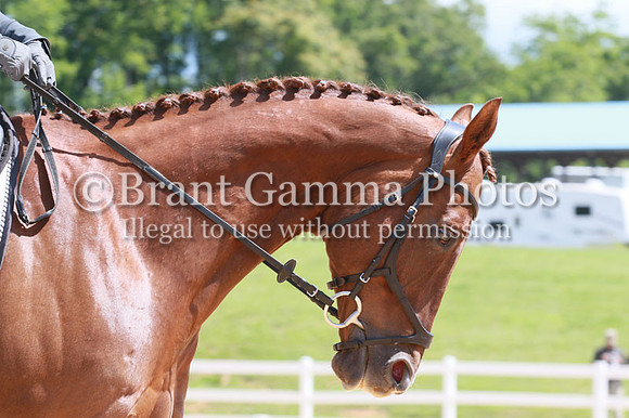 VS5B0130