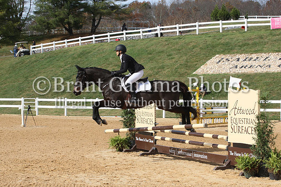 VF4L3665