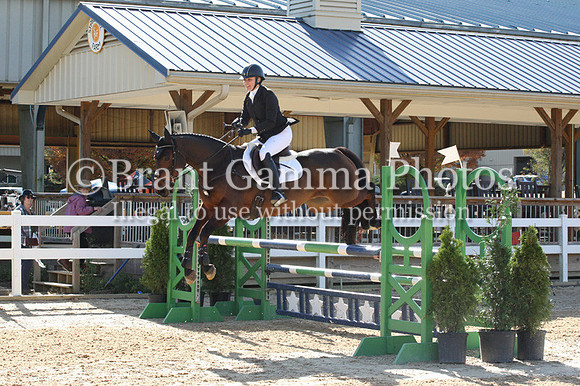 VF4L2501