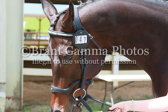 FINN0146