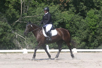 GV5P2198