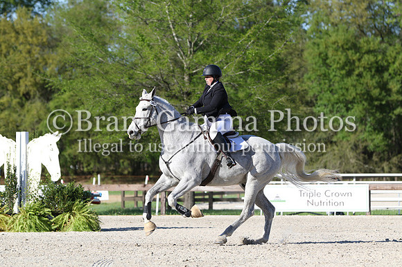 LL4Q2013