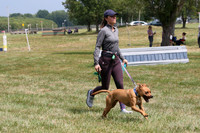 000.Candids, Scenics and Dogs.gv5