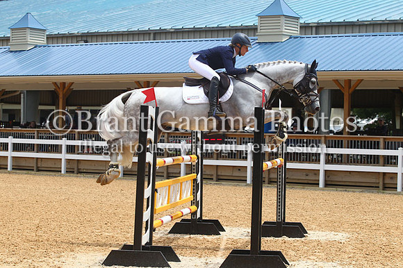 VS2P1193