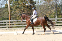 SR5B1462