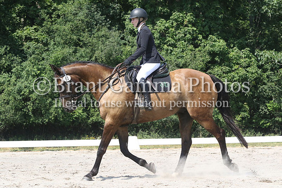 GV5P2434