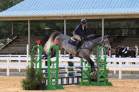 VF5L8931