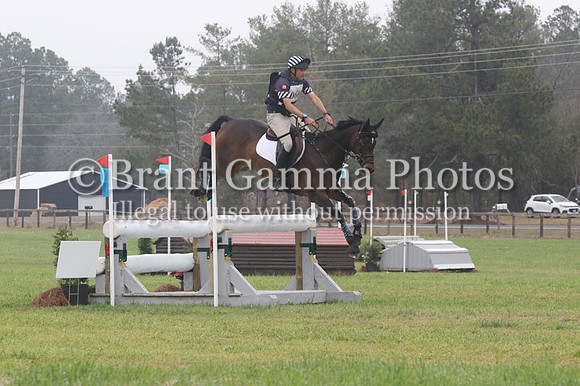 CI5P5982