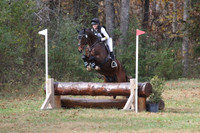 Henderson.Caitlin.Dynamic Storm.BNH.vf5