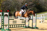VF2P1001