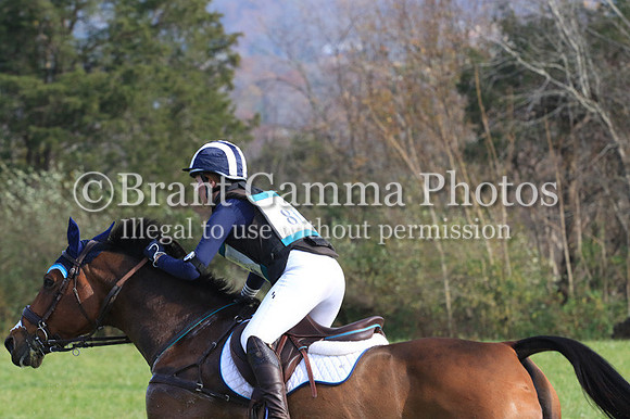 VF2B1758