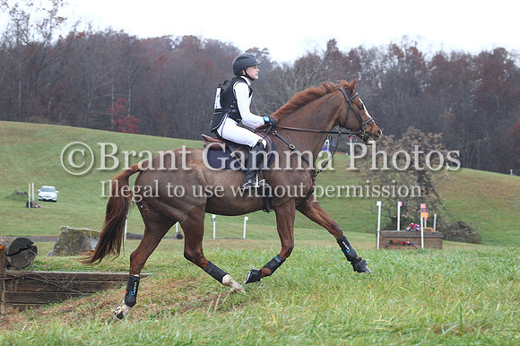 VF2P2395
