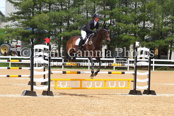 VS2P1681
