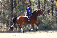 WCQ20713