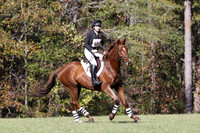 WCQ20782