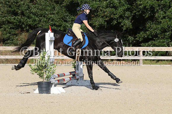 WCQ20113