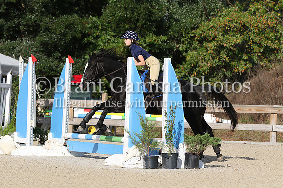 WCQ20115