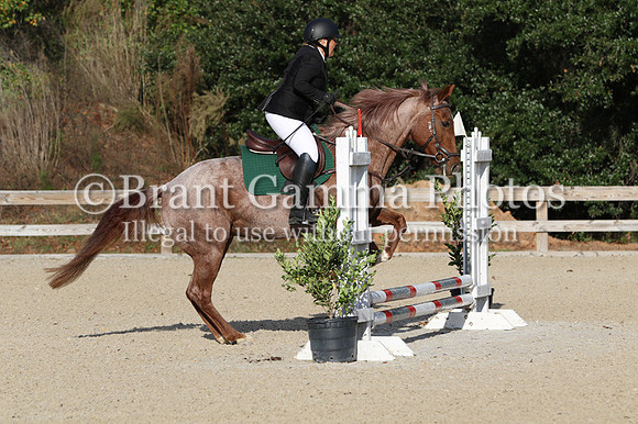 WCQ20131