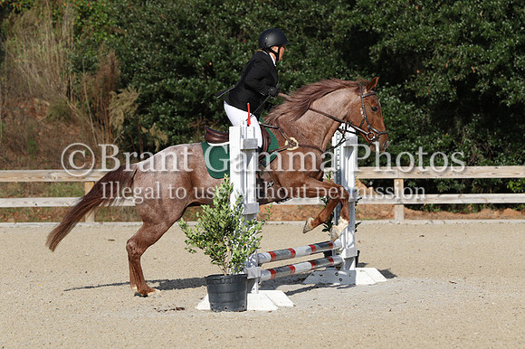 WCQ20132