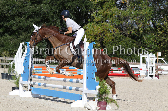 WCQ24164