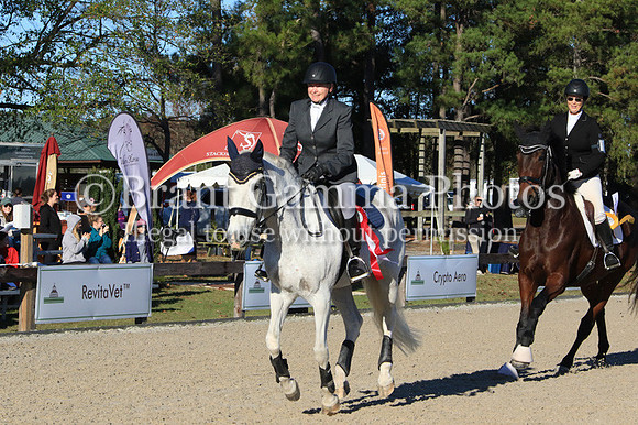 WC2B6773
