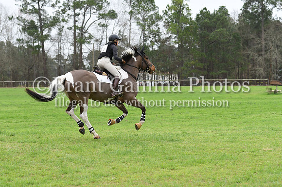 SPS_2013