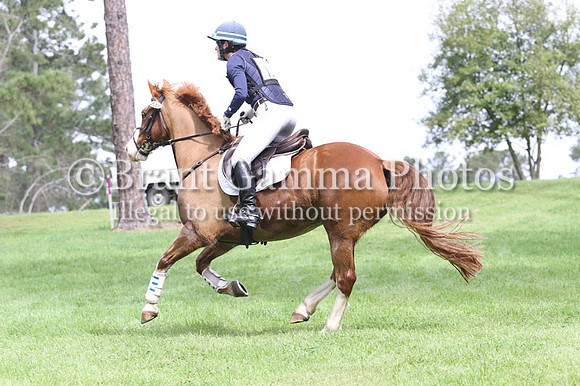 SP6L6737