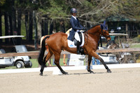 CI6B2011