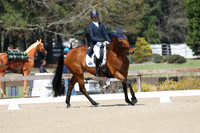CI6B2013