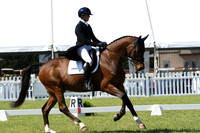 CIS_2904