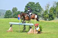 Springer.Allison.Monbeg Zebedee.A.mb5