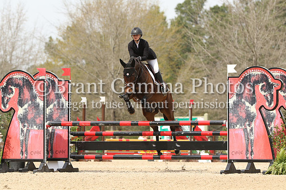 CI6Q3137
