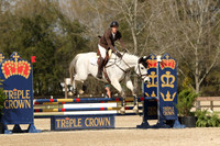 CI6Q3546