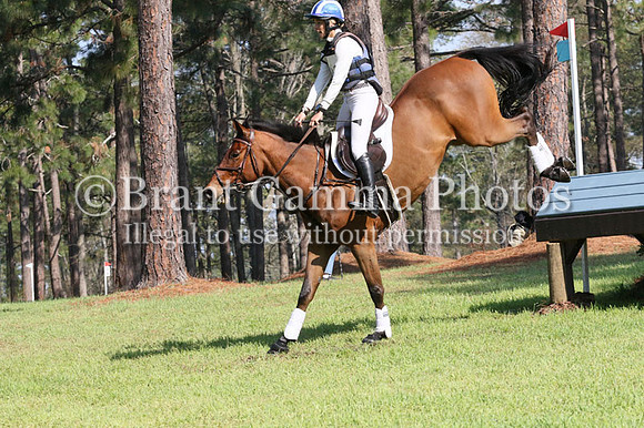 CI6B9459