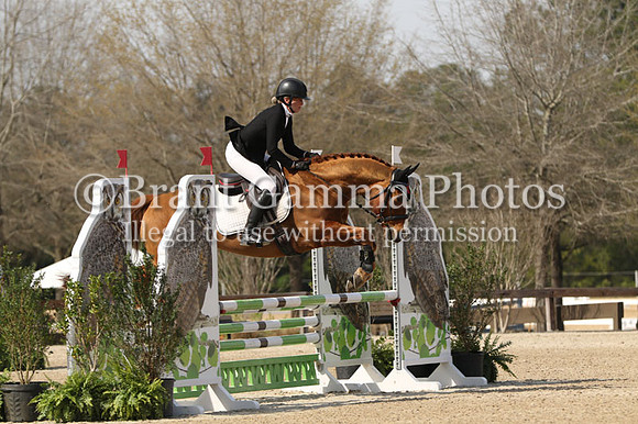 CI6Q3449