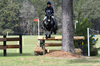 Springer.Allison.Crystal Crescent Moon.A.ci6