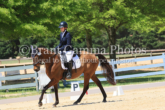 LL6B0786
