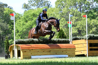 Krawczyk.Rachel.Yankee Mickey.NR-B.ll6
