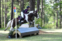 Harris.Reagan.Arnold Schwarzahorse.START-JR.ll6