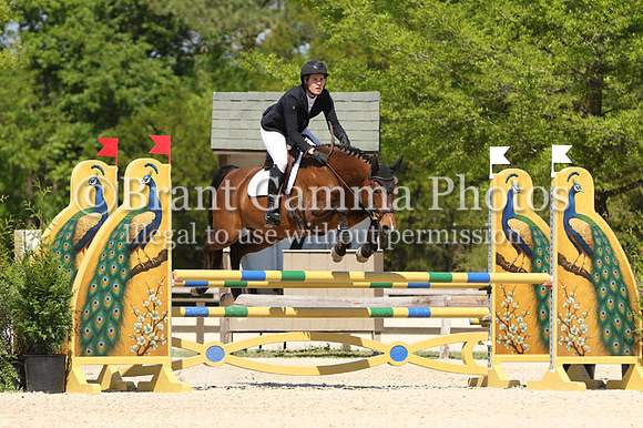 aLL6Q1167