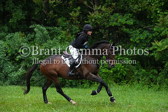 V6L02791