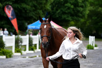 V6L07437