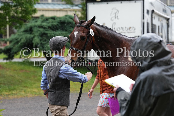 DSC03386