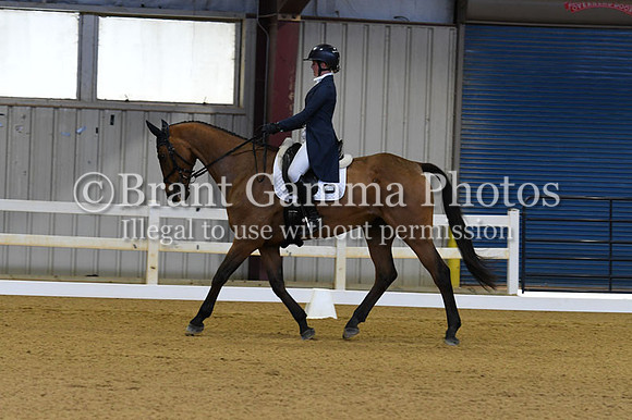 V6S_0236