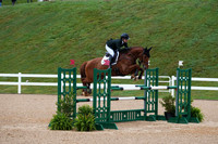 V6L00311