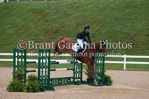 V6L00315