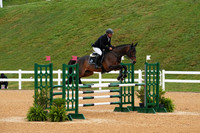 V6L02067